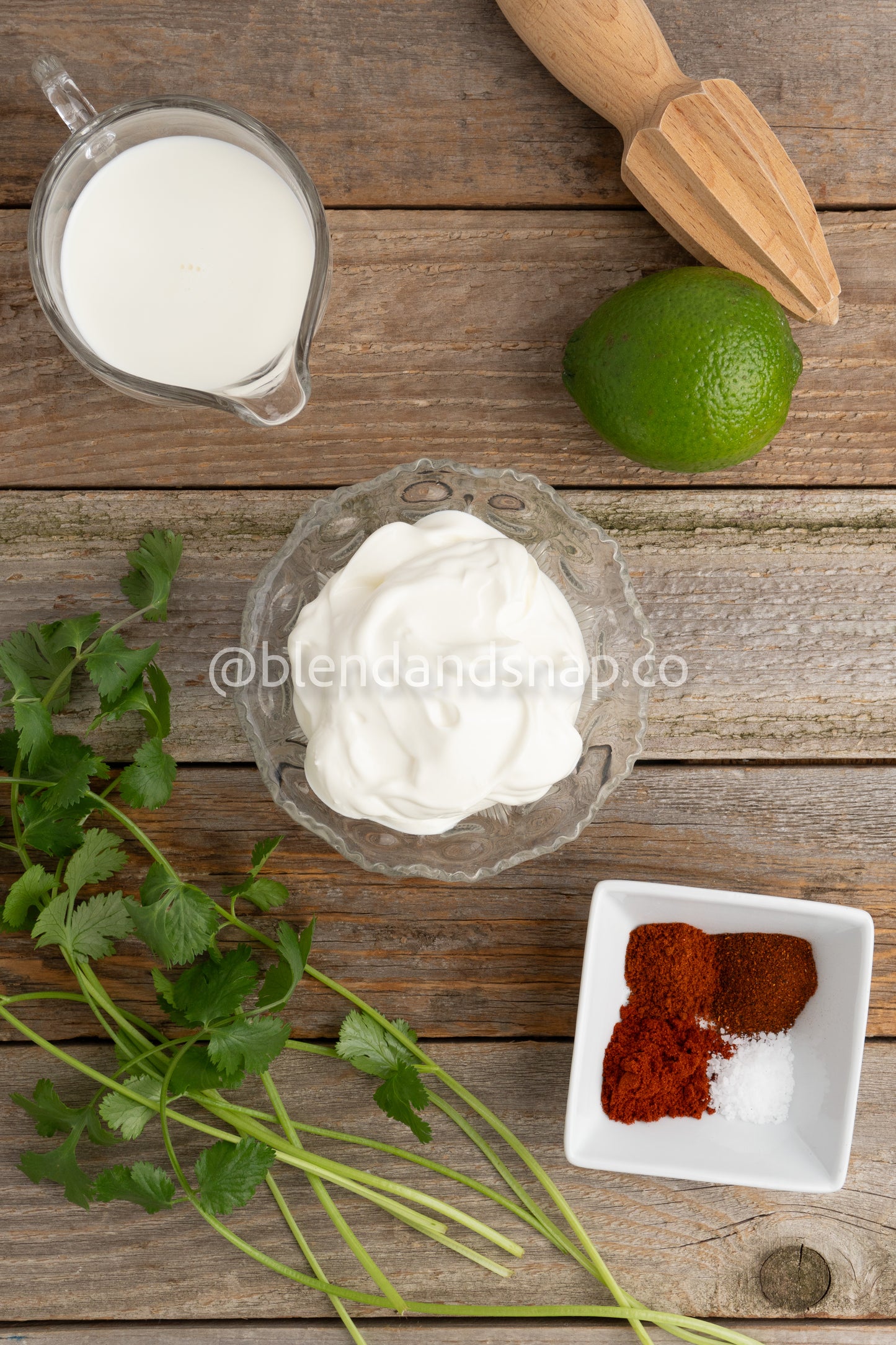 Chipotle Cilantro Bundle