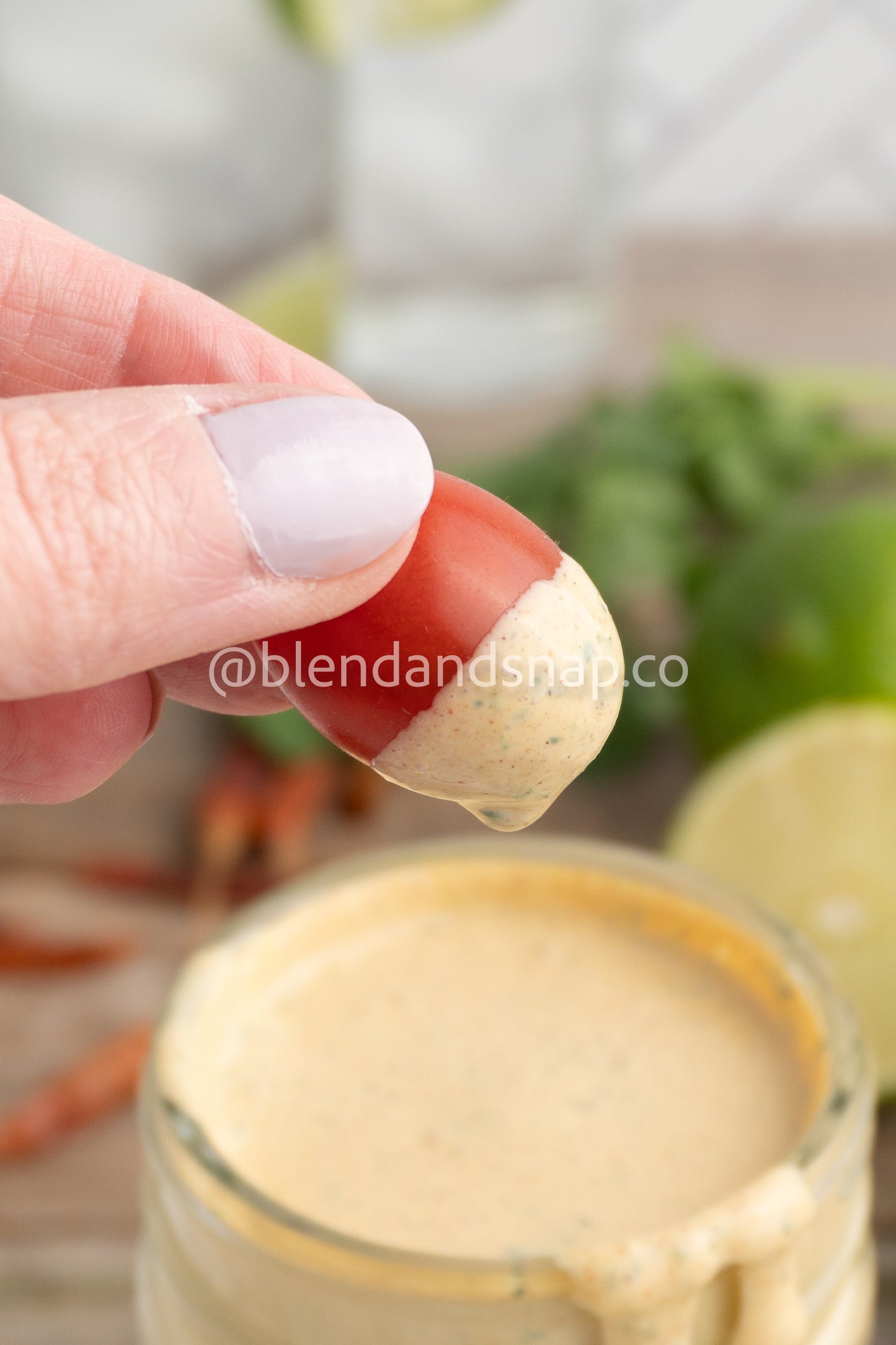 Chipotle Cilantro Bundle