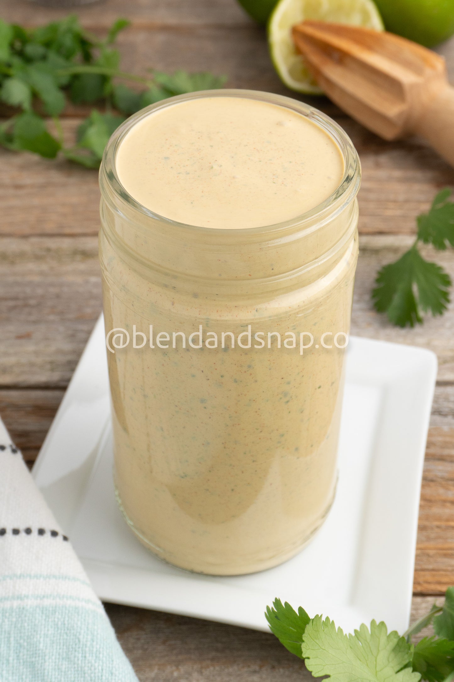 Chipotle Cilantro Bundle