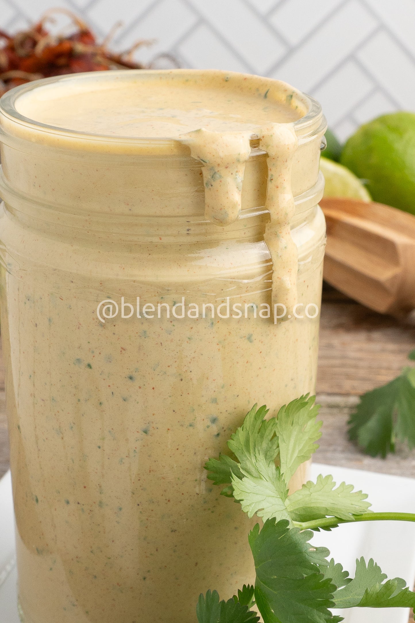 Chipotle Cilantro Bundle