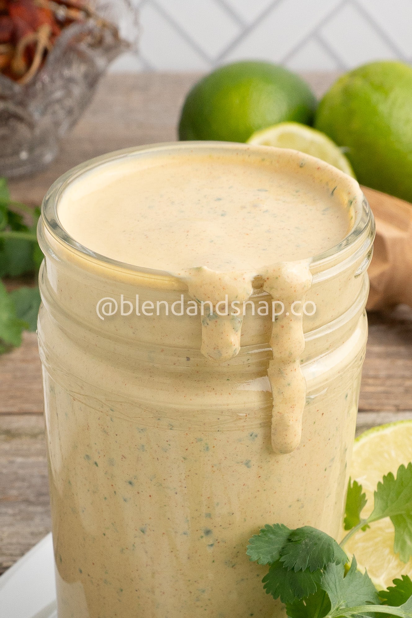 Chipotle Cilantro Bundle