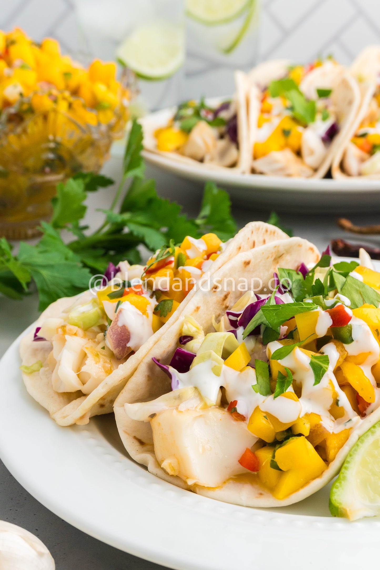 Mango Habanero Salsa Bundle