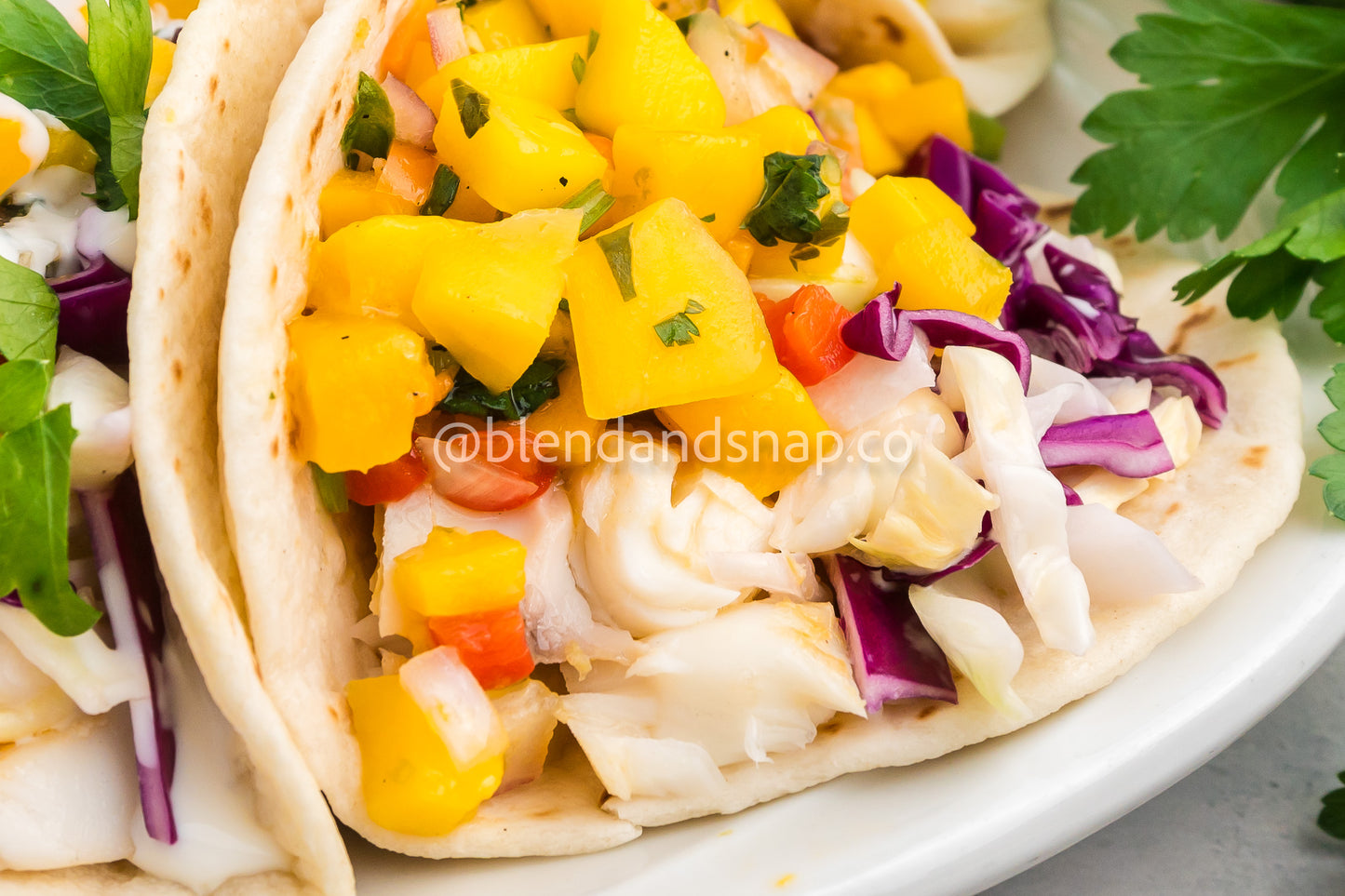 Mango Habanero Salsa Bundle