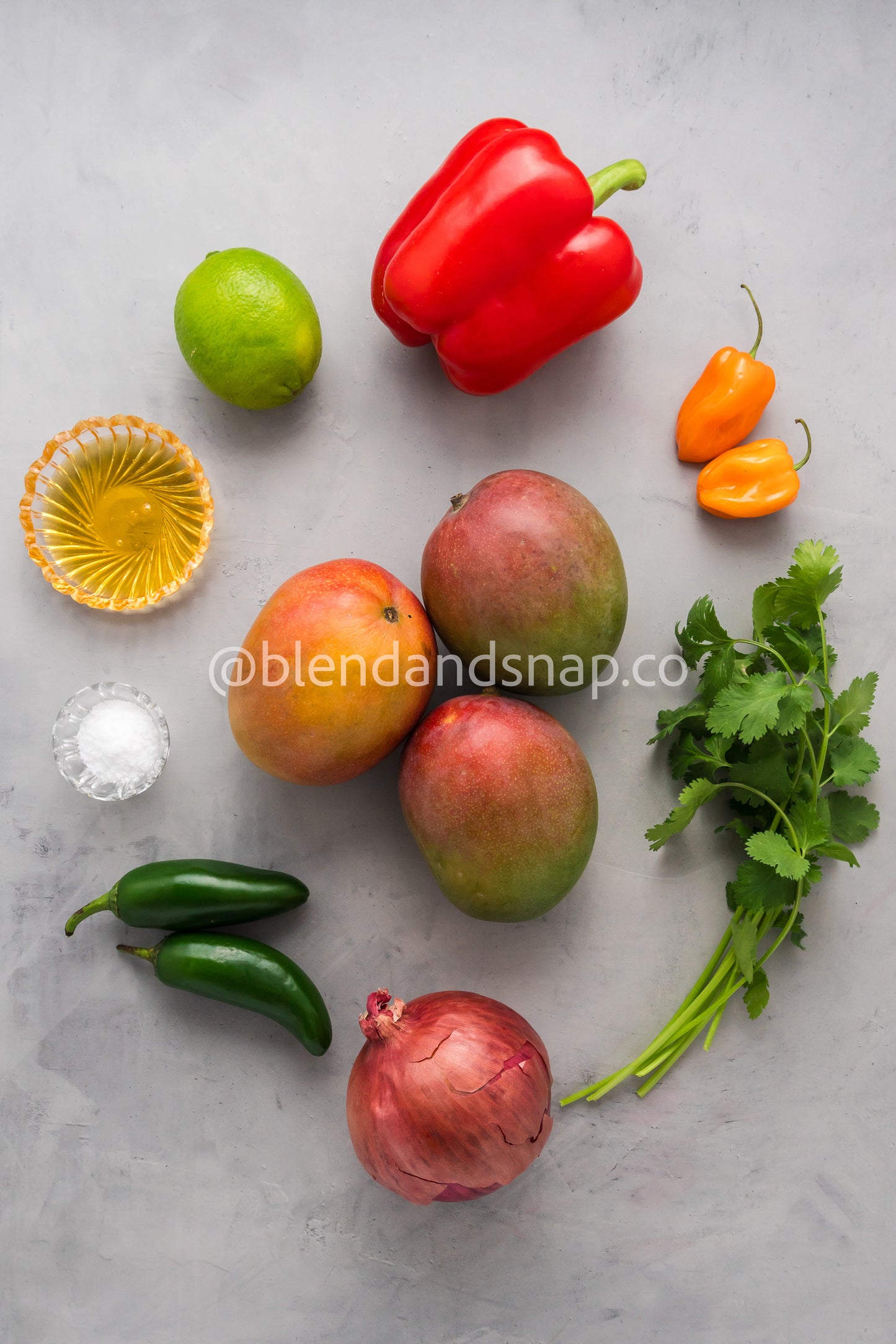 Mango Habanero Salsa Bundle