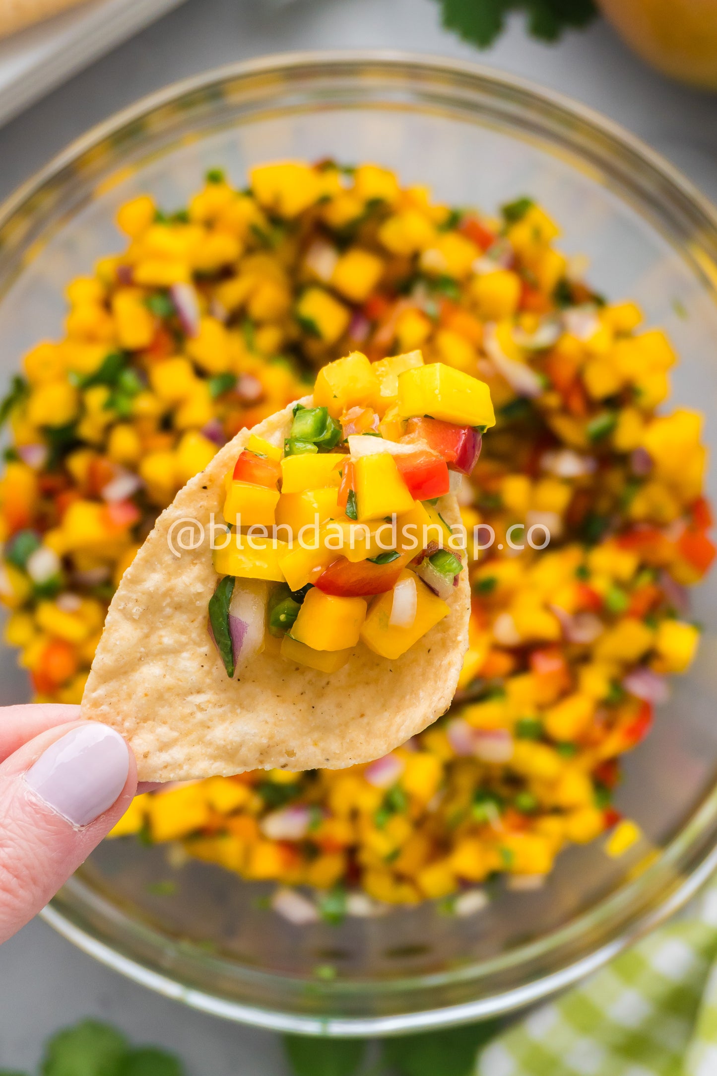 Mango Habanero Salsa Bundle