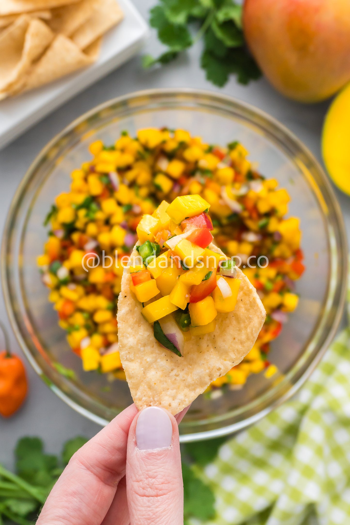 Mango Habanero Salsa Bundle