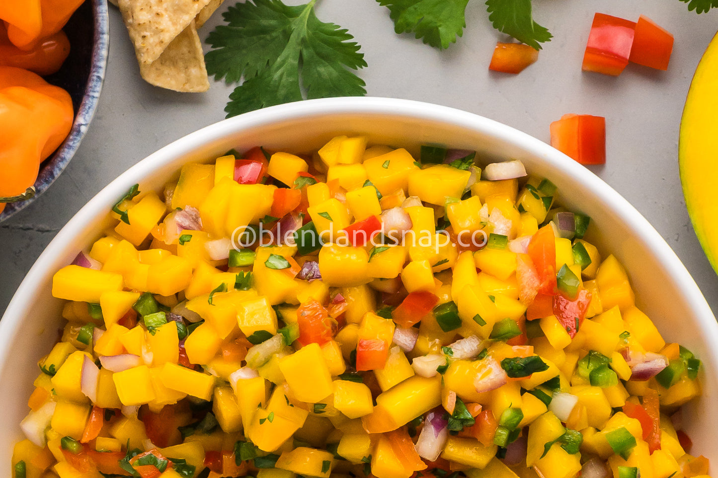 Mango Habanero Salsa Bundle