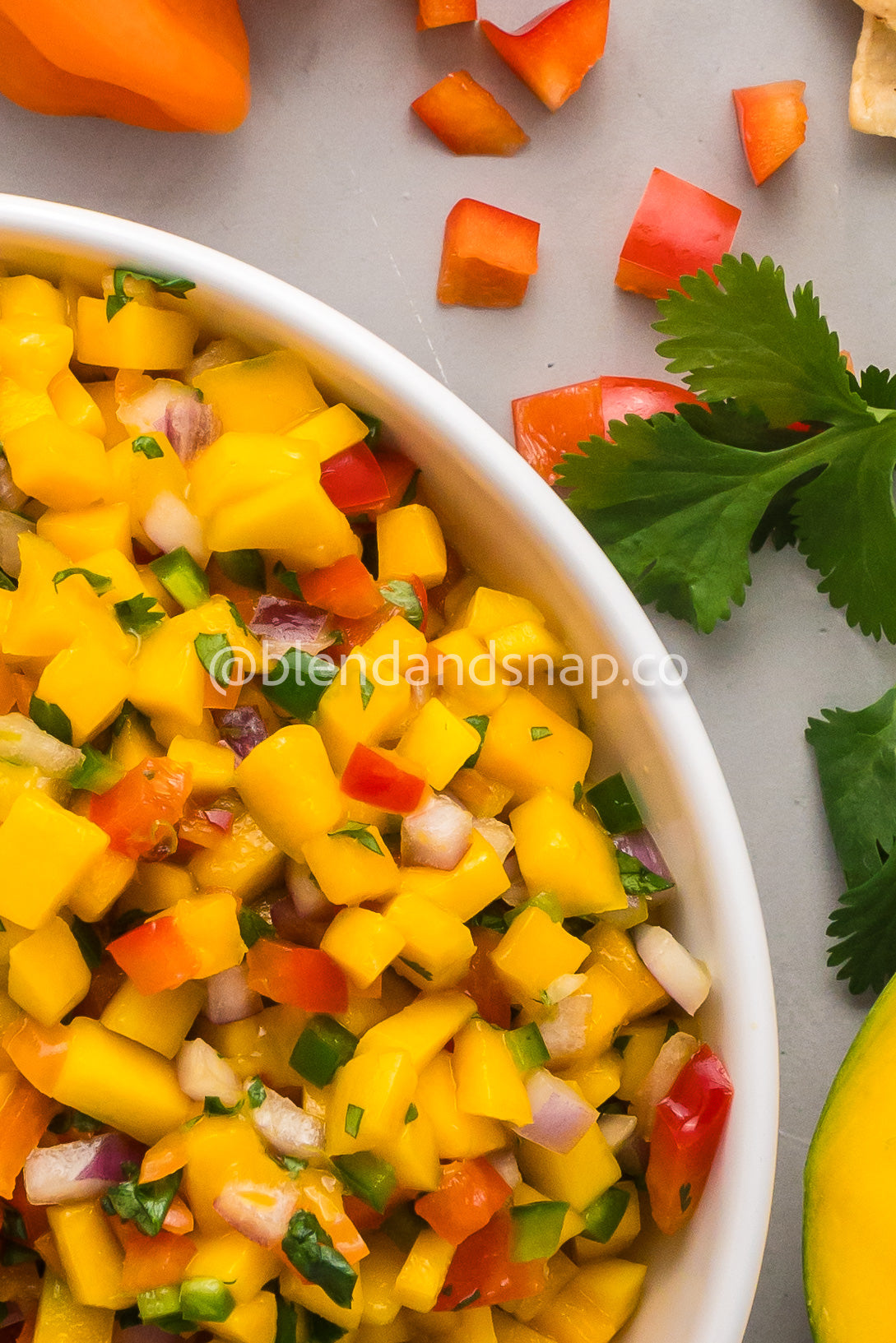 Mango Habanero Salsa Bundle