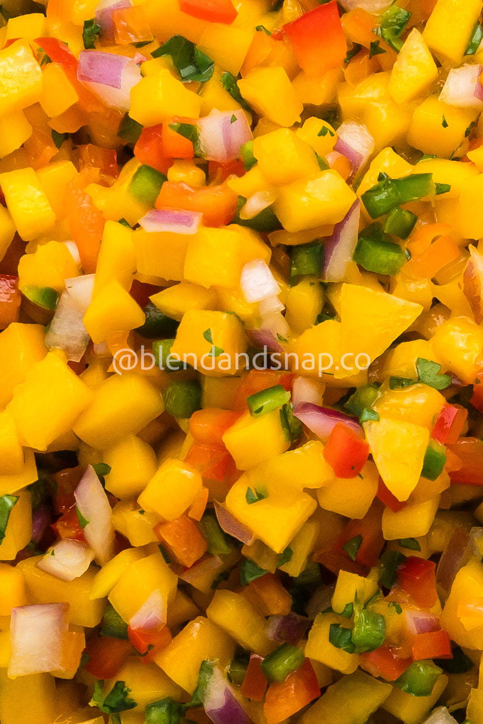 Mango Habanero Salsa Bundle