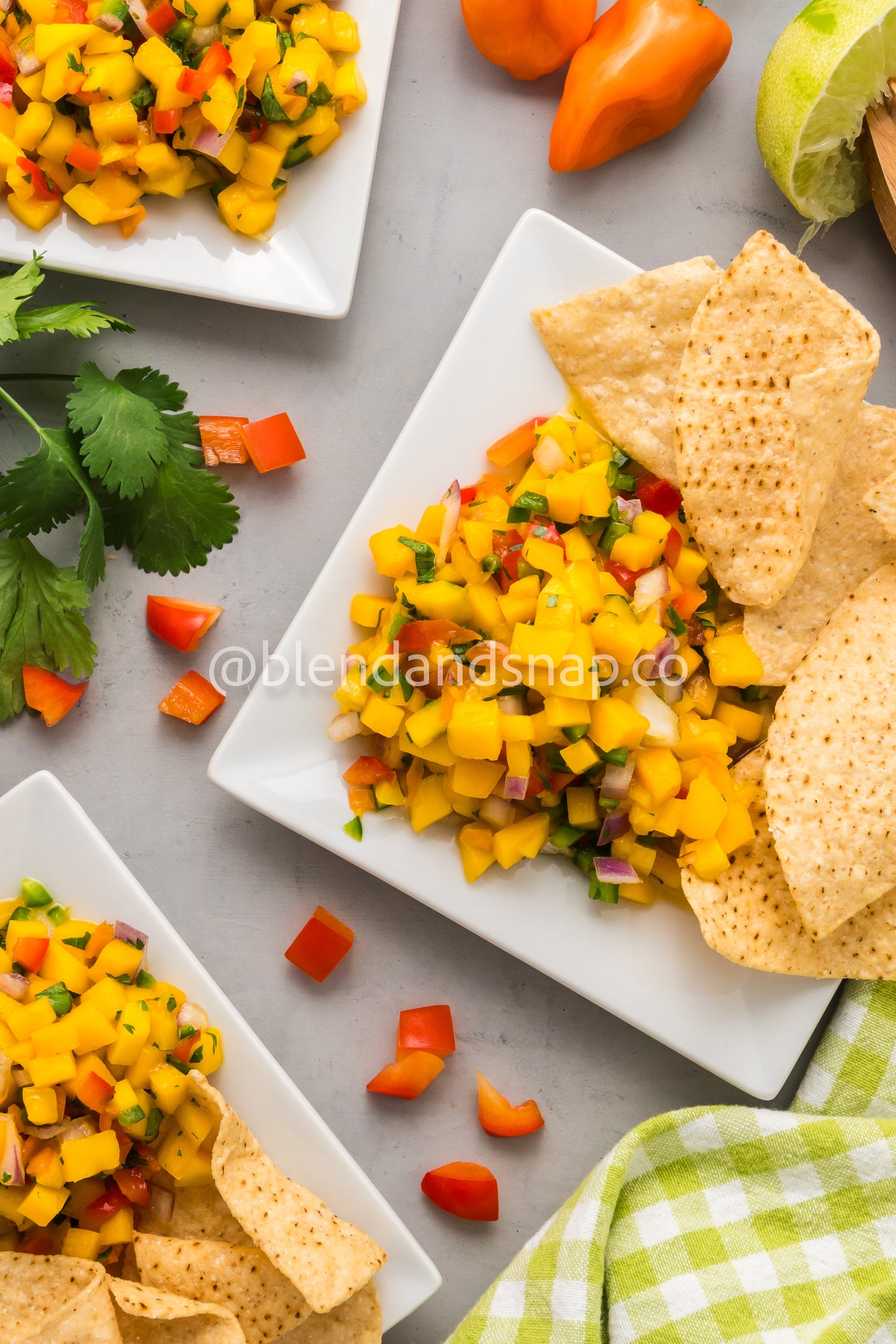 Mango Habanero Salsa Bundle