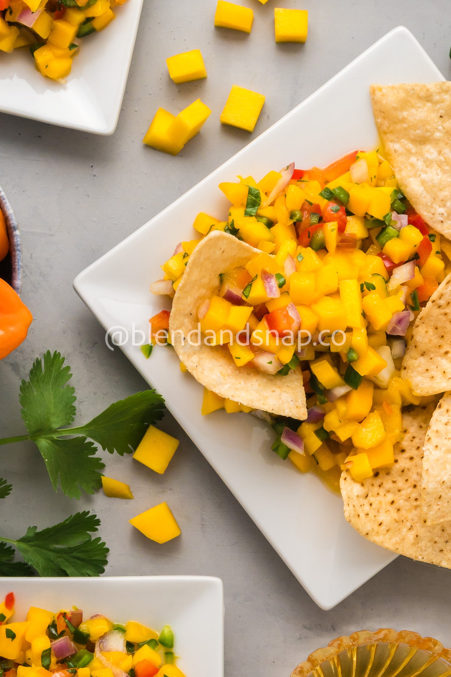 Mango Habanero Salsa Bundle