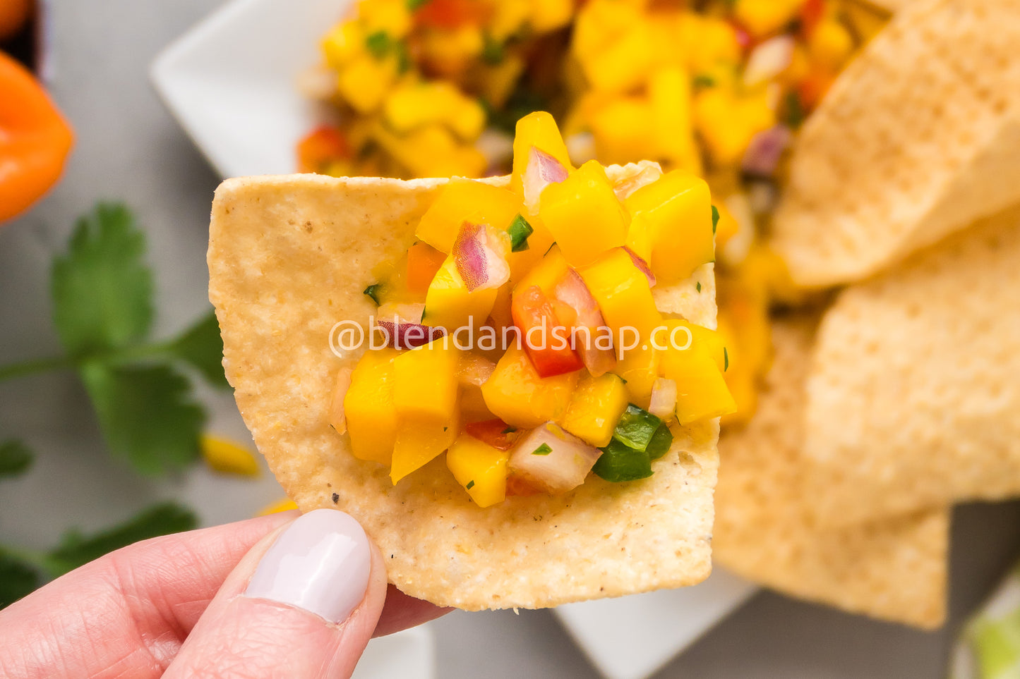 Mango Habanero Salsa Bundle