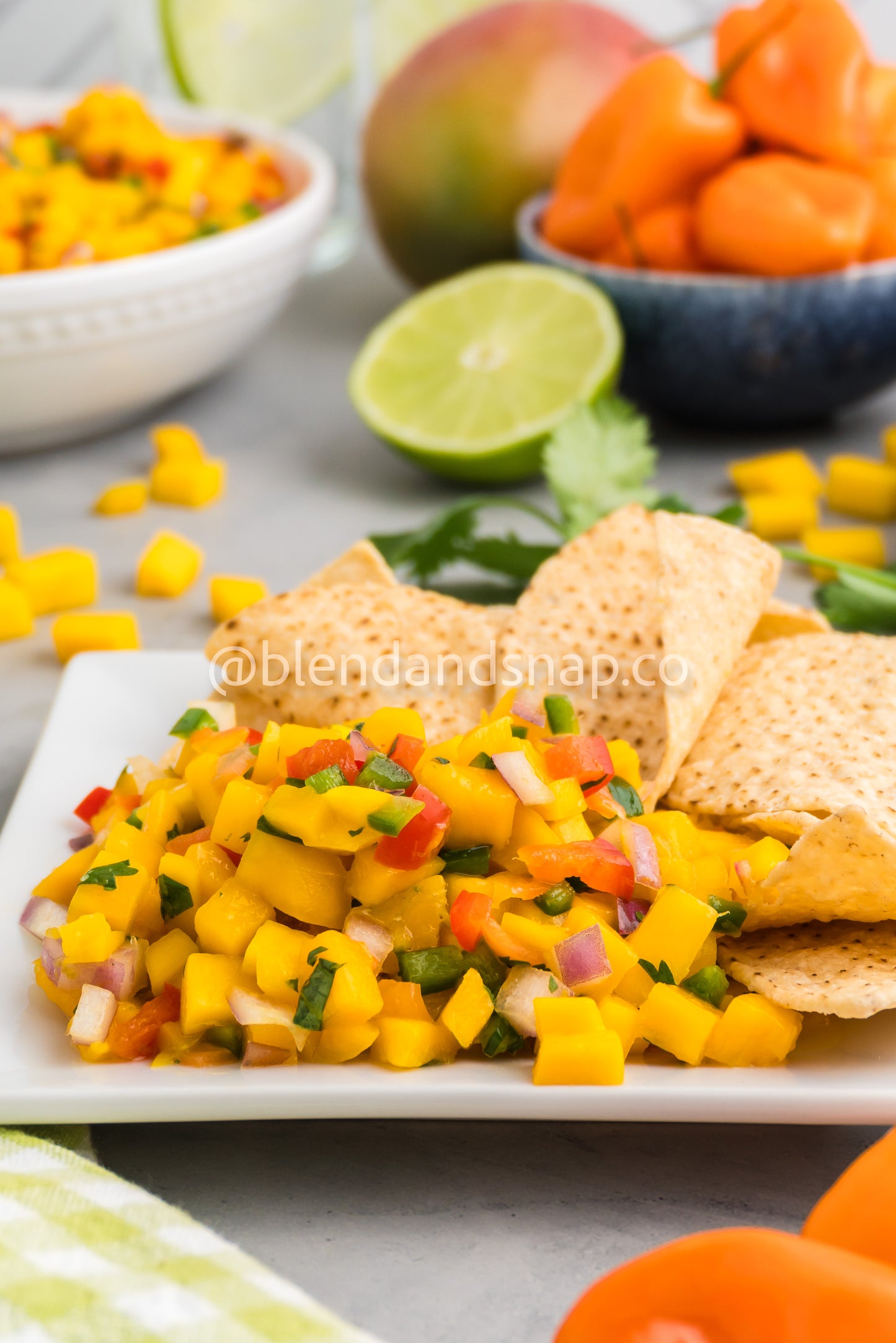 Mango Habanero Salsa Bundle