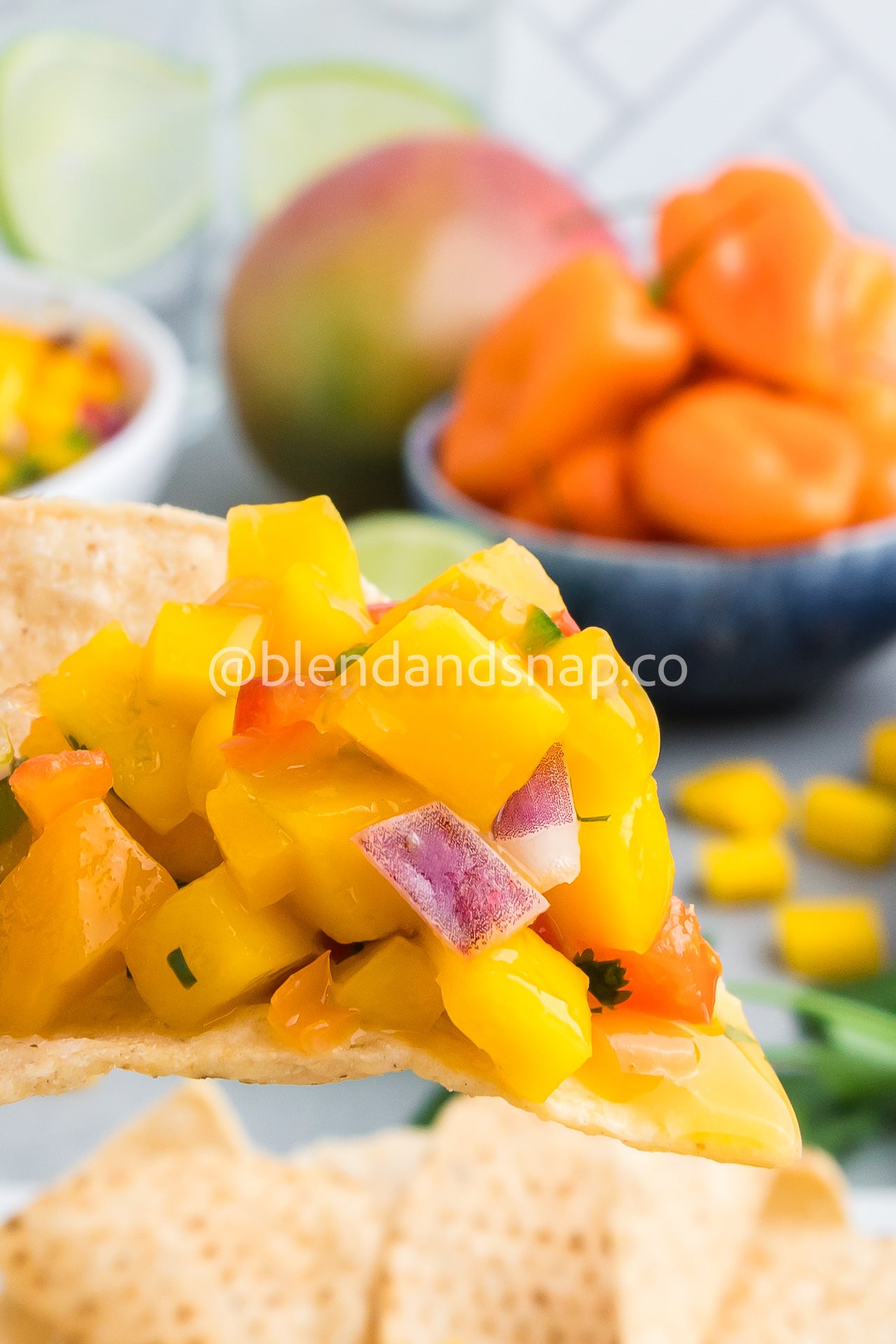 Mango Habanero Salsa Bundle