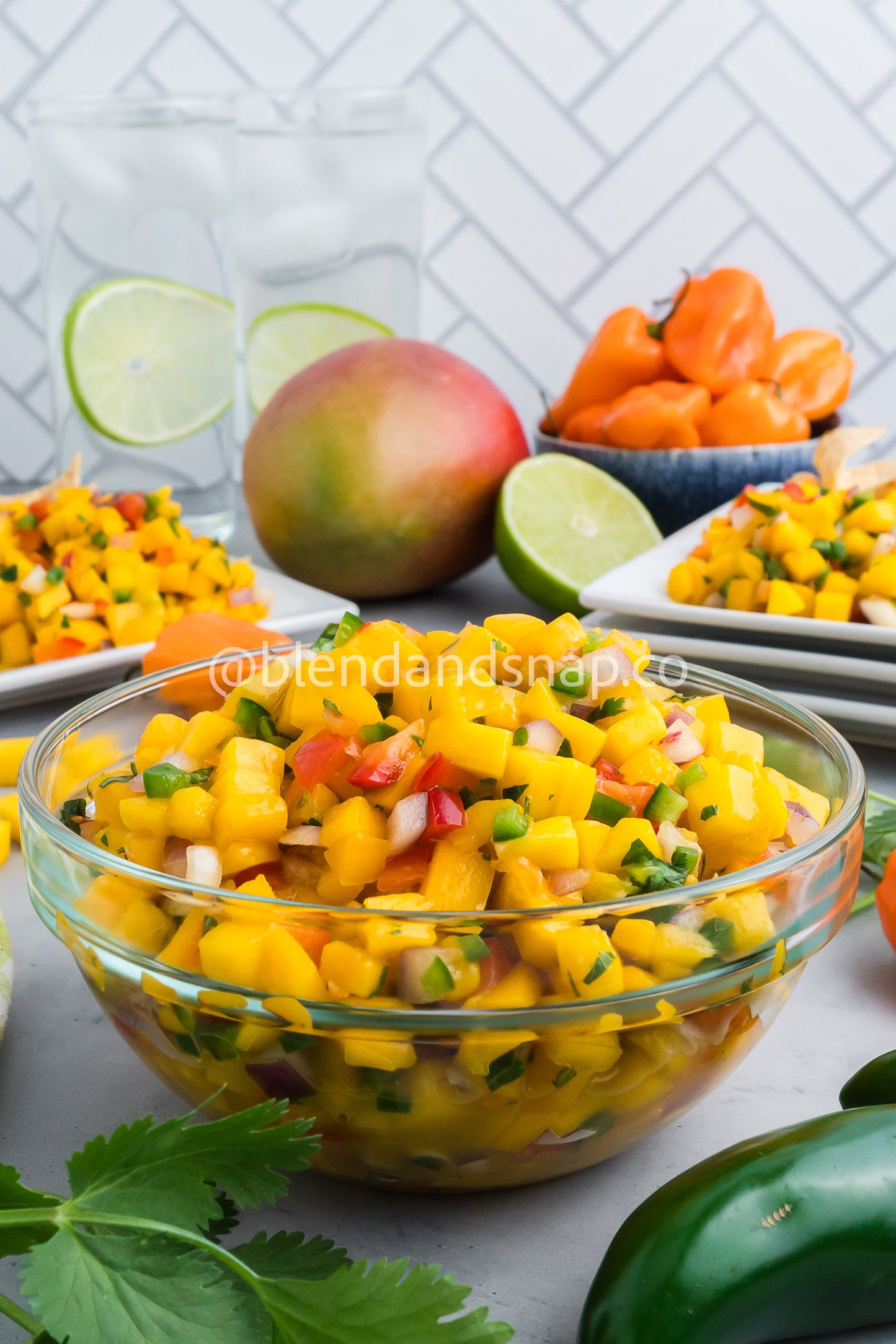 Mango Habanero Salsa Bundle