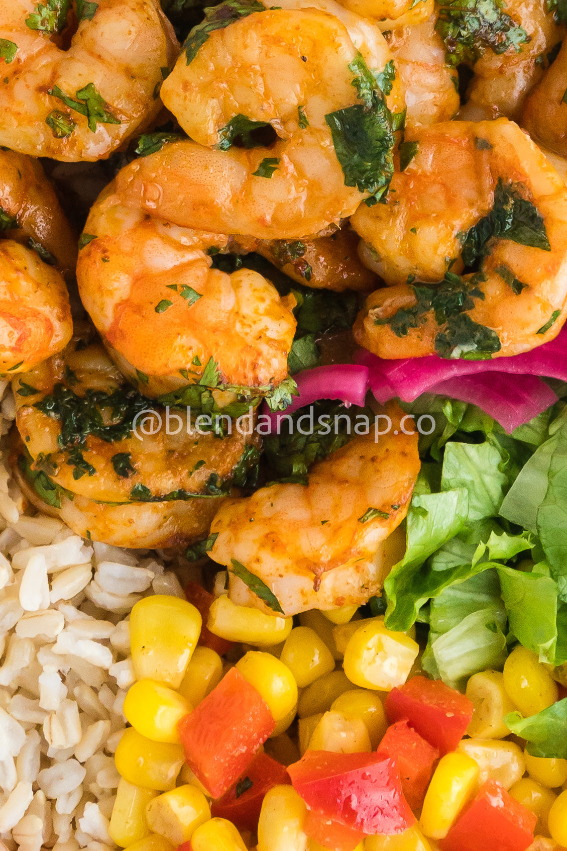 Chipotle Cilantro Bundle