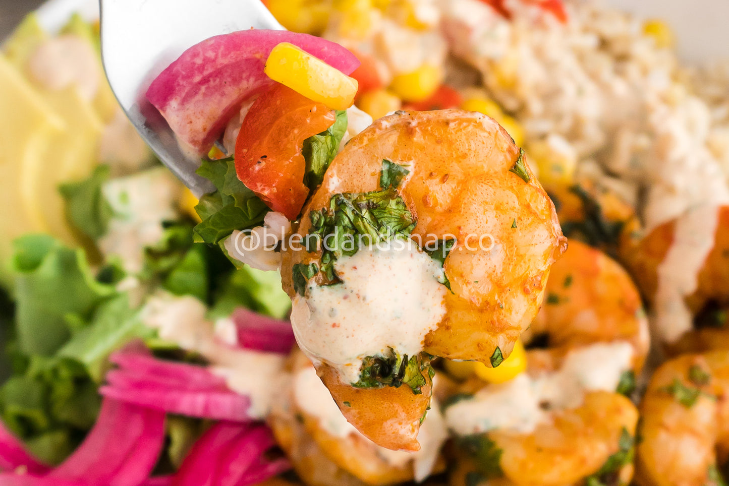 Chipotle Cilantro Bundle